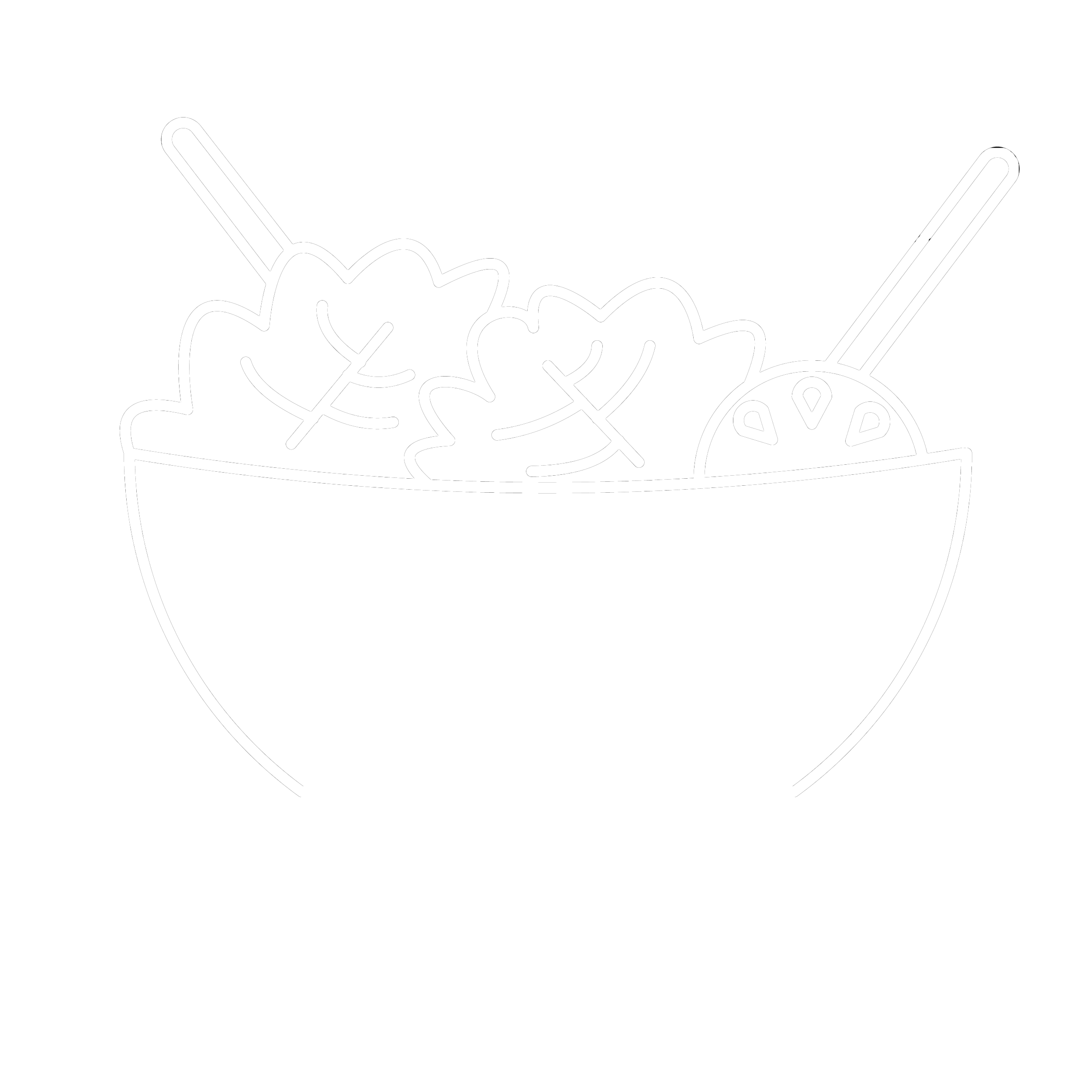 سالاد ها (salad's)